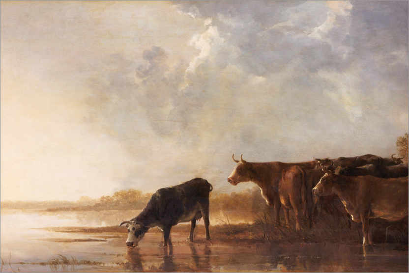 Poster River landscape with cows