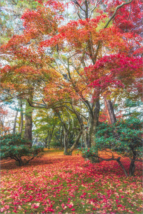 Poster Magical autumn