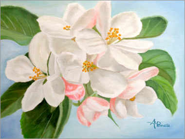 Poster Apple Blossom