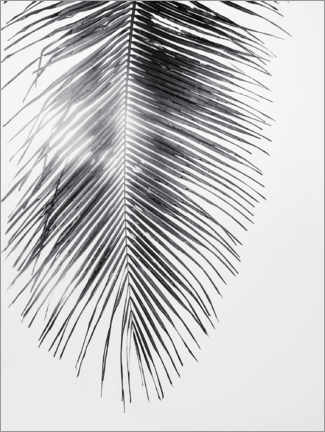 Poster Palm tree IV