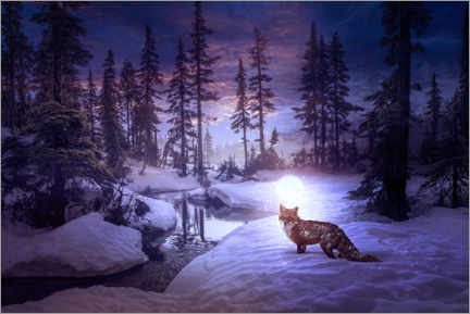 Poster  Moon fox - Elena Dudina