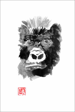 Canvas print  Gorilla - Péchane
