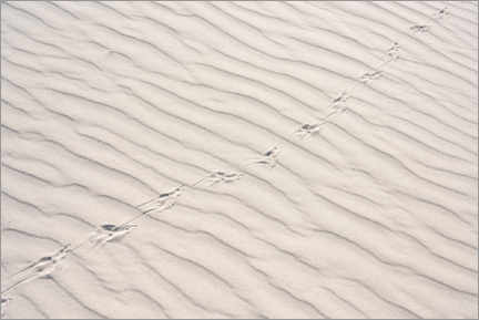 Poster Traces in the sand II