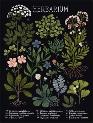 Poster  Herbarium, Black - Kaja Kajfez