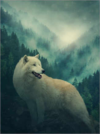 Poster White wolf in the forest