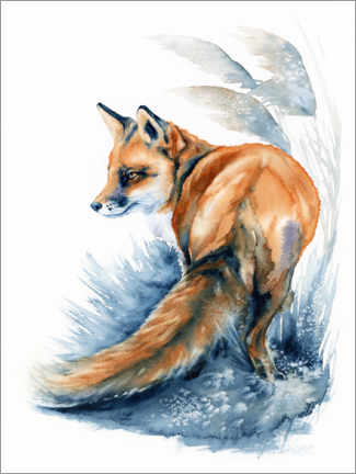 Acrylic print  Fox in the Reeds - Zaira Dzhaubaeva
