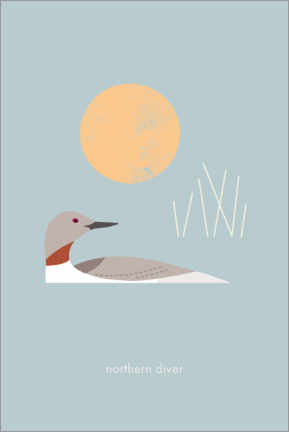 Poster Northern Diver