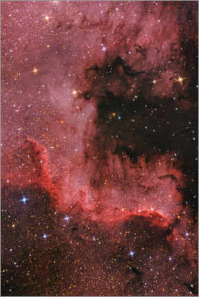 Canvas print  Cygnus Wall - North American Nebula - Benjamin Butschell