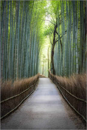 Poster Arashiyama Bambuswald, Kyoto, Japan