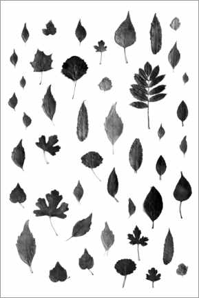 Wall sticker  Autumn leaves collection - Studio Nahili