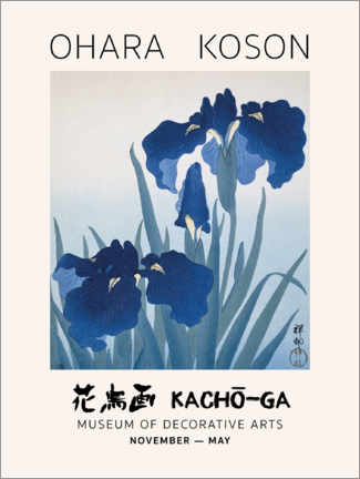Acrylic print  Ohara Koson - Irises - Ohara Koson