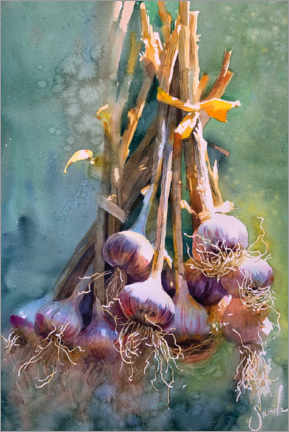 Gallery print  Garlic Watercolour - Samira Yanushkova