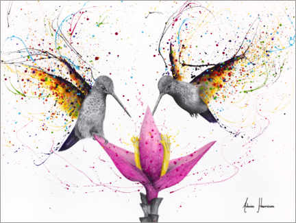 Wall sticker  Friendship Hummingbirds - Ashvin Harrison