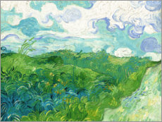 Gallery print  Green Wheat Fields, Auvers - Vincent van Gogh