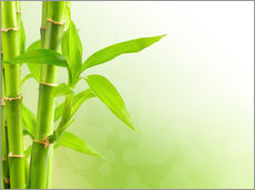 Gallery print  Green Bamboo
