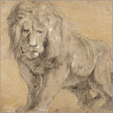 Wall sticker  Study of a lion - Peter Paul Rubens