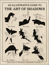 Gallery print  The Art of Shadows - Mary Urban