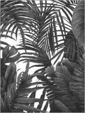 Poster Tropical jungle in black and white