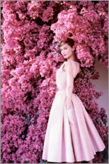 Poster Audrey Hepburn in an evening dress.