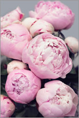 Poster Peonies in pink
