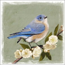 Canvas print  Bird on a branch II - Victoria Borges