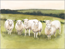 Foam board print  Sheep in the pasture - Victoria Borges