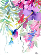 Foam board print  Hummingbird in the Hanging Garden - Rachel McNaughton
