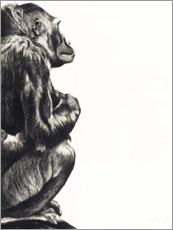 Acrylic print  Lady gorilla - Rose Corcoran