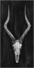 Poster Impala Skull