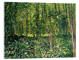 Acrylic print  Trees and Undergrowth - Vincent van Gogh
