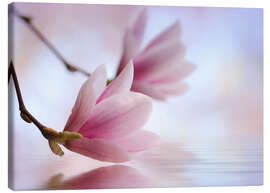 Canvas print  Magnolia blossom - Atteloi