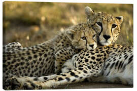 Canvas print  Cheetah cub with mother - Joe &amp; Mary Ann McDonald