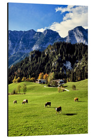 Aluminium print  Alpine views with forest and pasture - Ric Ergenbright