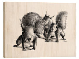 Wood print  Three squirrel - Stefan Kahlhammer