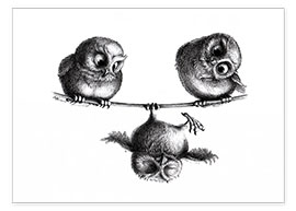 Poster  Three owls - Stefan Kahlhammer