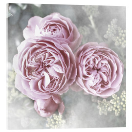 Acrylic print  Roses in shabby style - Christine Bässler
