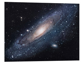 Foam board print  The andromeda galaxy - Robert Gendler