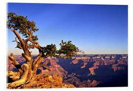 Acrylic print  Grand Canyon in Arizona - Paul Thompson