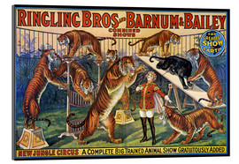 Acrylic print  Circus poster from 1920