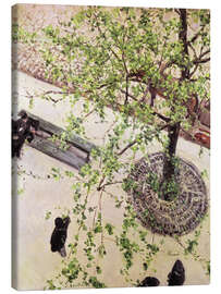 Canvas print  Boulevard from above - Gustave Caillebotte