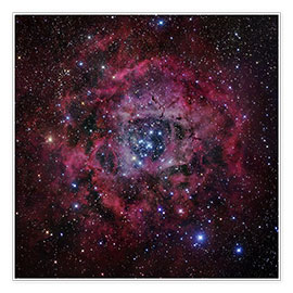 Poster The Rosette Nebula