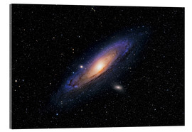 Acrylic print  The Andromeda Galaxy - Roth Ritter
