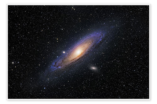 Poster The Andromeda Galaxy