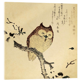 Acrylic print  Owl in blooming magnolia - Kubota Shunman