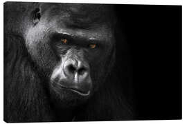 Canvas print  Gorilla face - WildlifePhotography