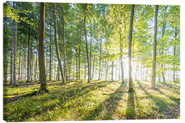 Canvas print  Forest at sunrise - Hannes Cmarits