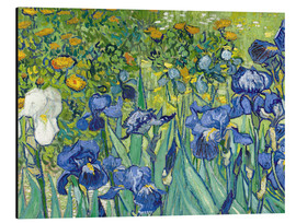 Aluminium print  Irises - Vincent van Gogh