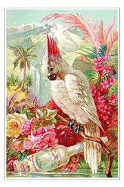 Poster Cocktail Cockatoo