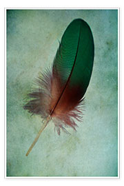 Poster  Green feather - Jaroslaw Blaminsky