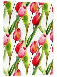 Acrylic print  Tulips flowers